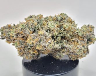 Animal Tree Strain (Treehouse AG)