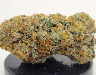 Member Berry Strain (Treehouse AG)