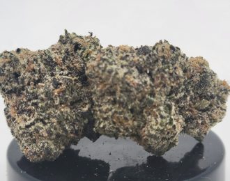 Gruntz Strain (Elevated State Co.)