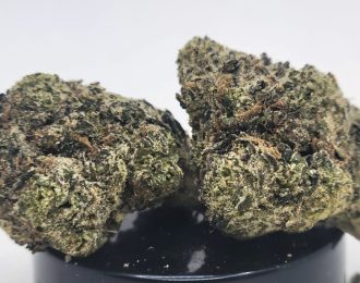 Larry Bird Strain (Elevated State Co.)