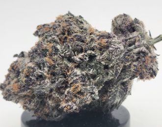 Super Boof Strain (HP Gardens) ****LIMITED INVENTORY****